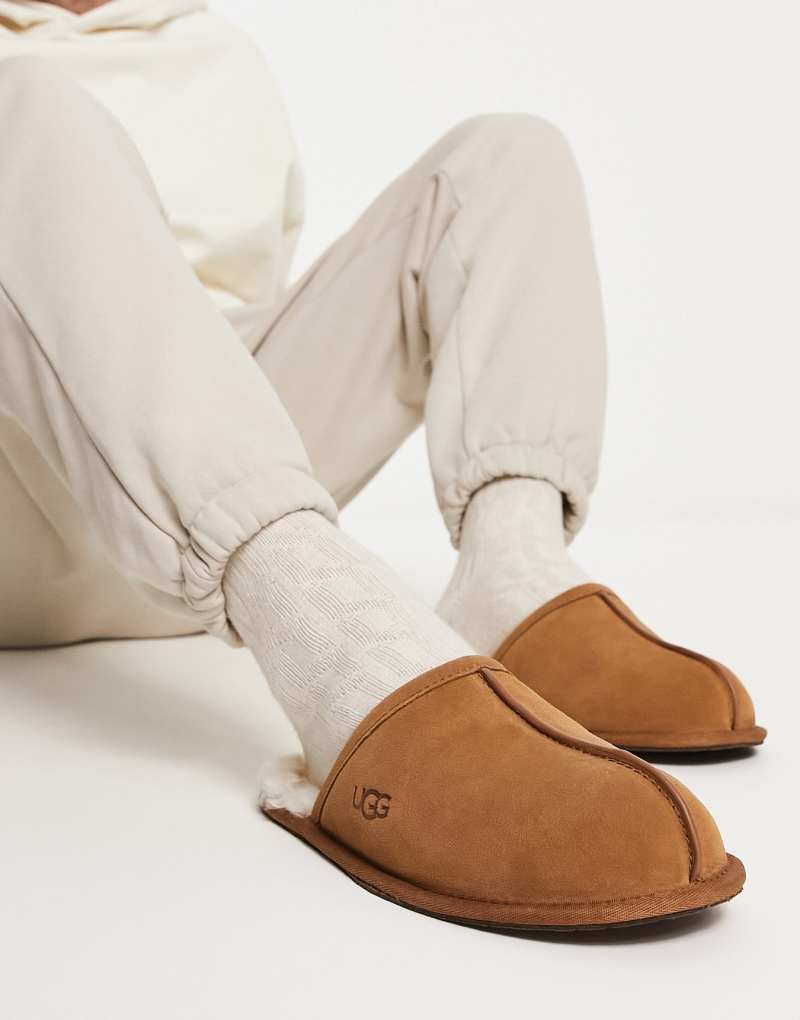 Мужские Тапочки UGG Scuff UGG