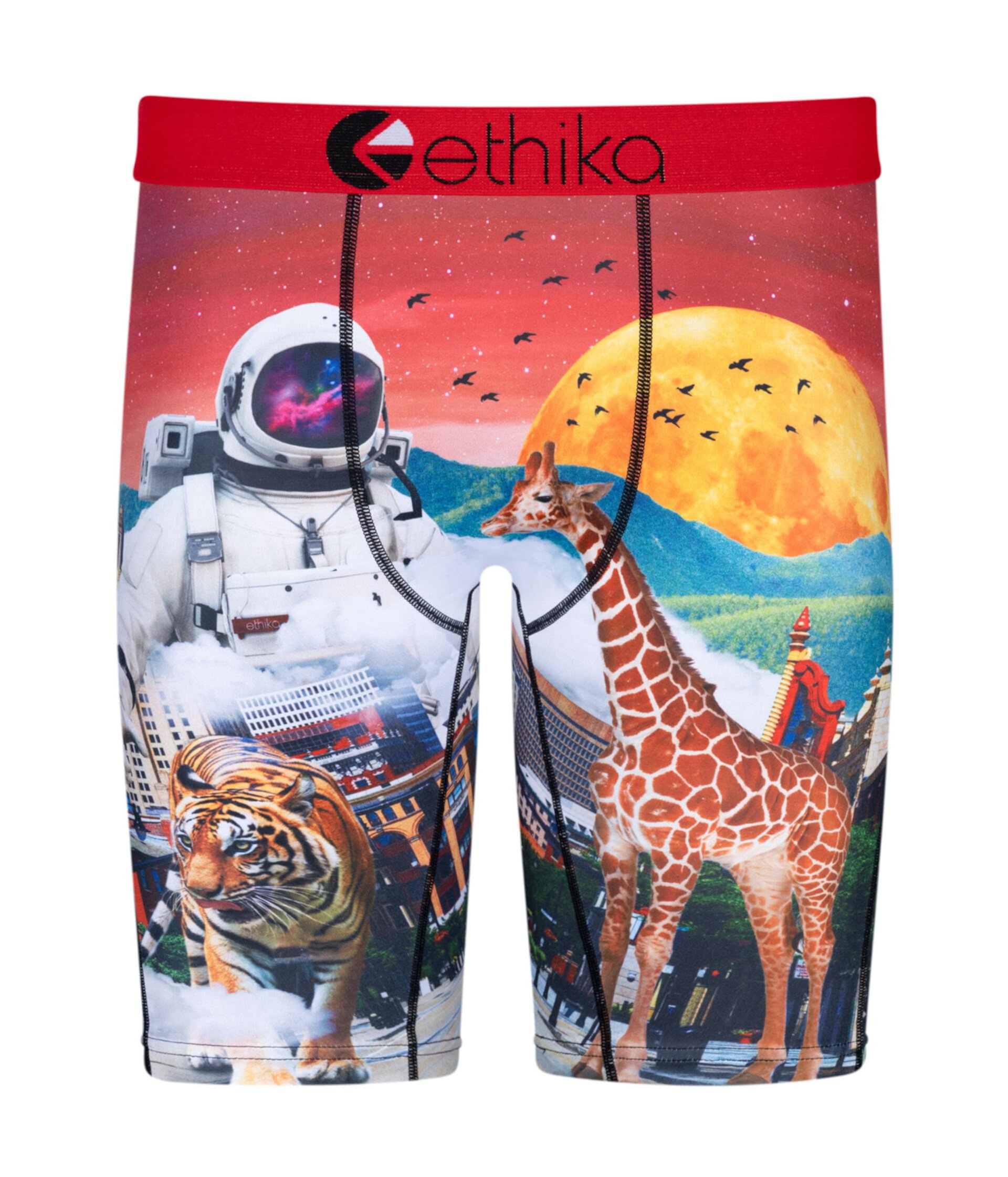 Астро Зоопарк ethika