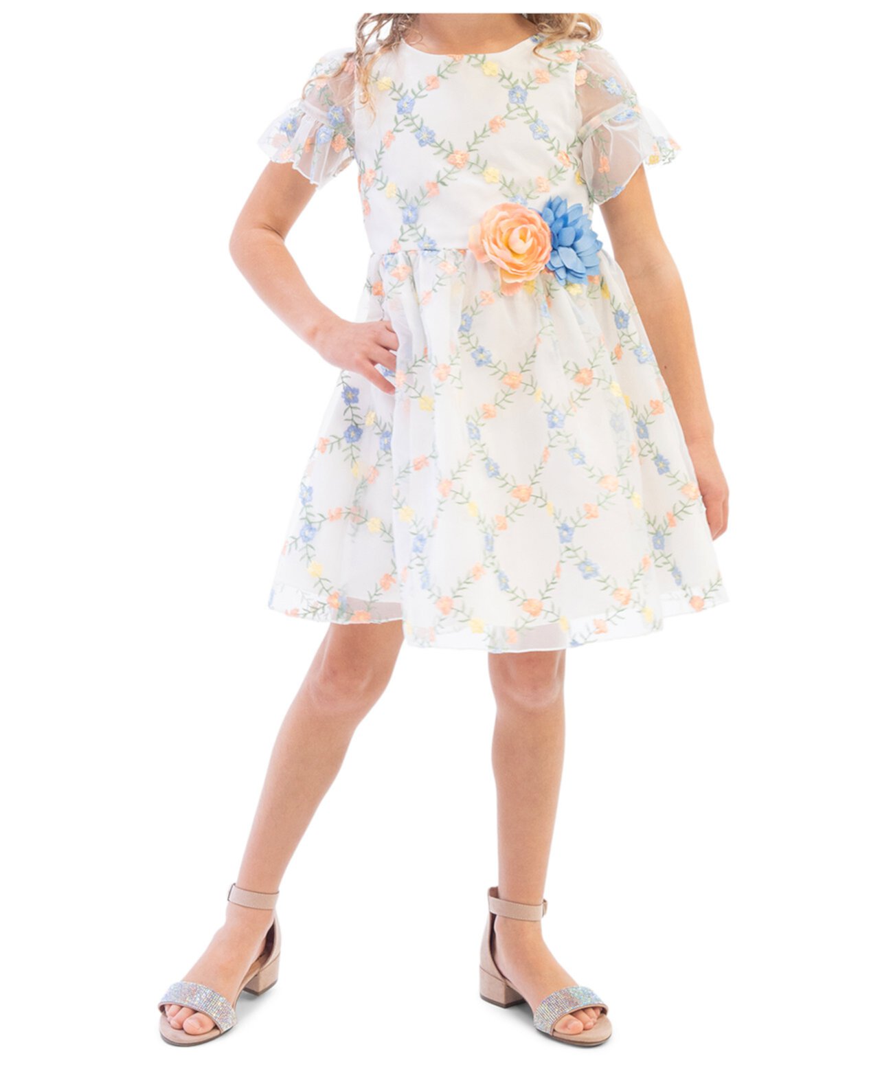 Социальное платье с 3D цветочной вышивкой для маленьких девочек Rare Editions