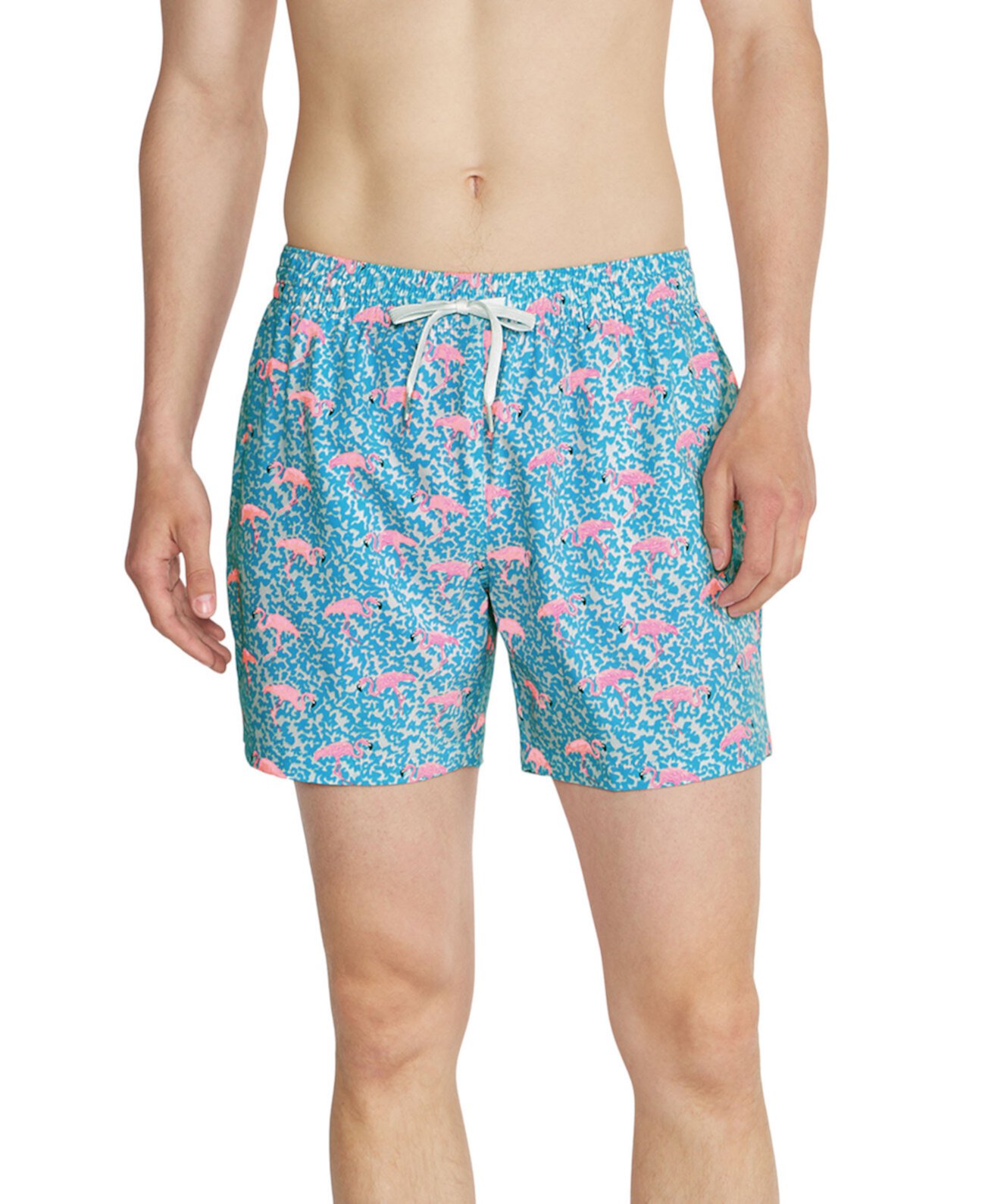 Мужские плавки CHUBBIES The Domingos Are For Flamingos, быстросохнущие, 14 см CHUBBIES