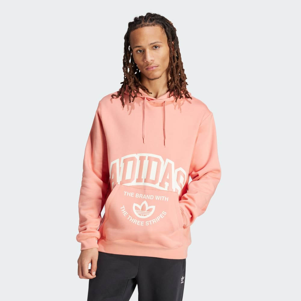 Мужская Толстовка adidas Originals VRCT Hoodie Adidas Originals