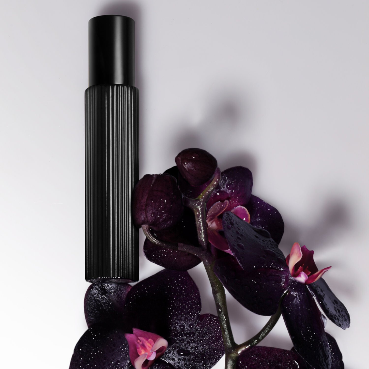 Black Orchid Eau de Parfum Fragrance Travel Spray Tom Ford