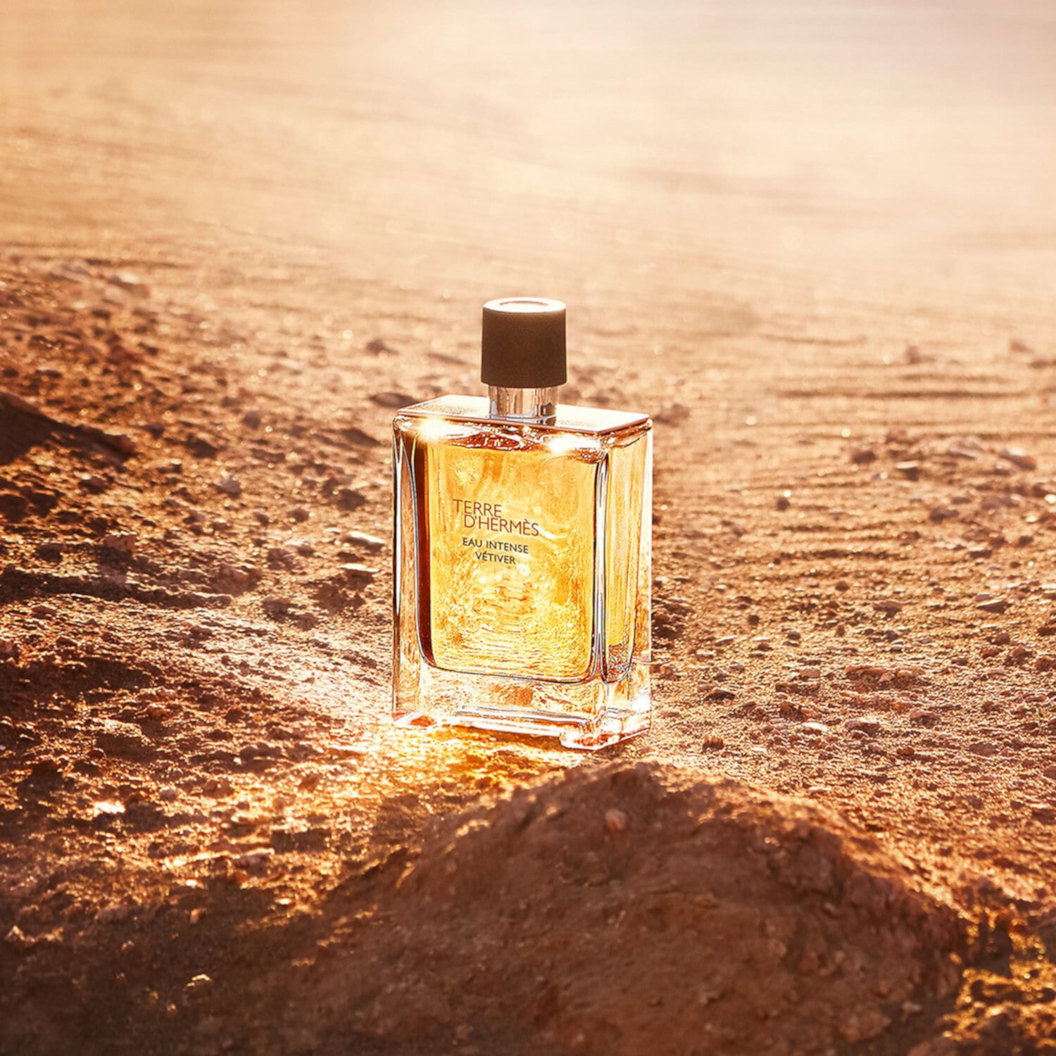 Terre d'Hermès Eau Intense Vétiver Eau de Parfum HERMÈS