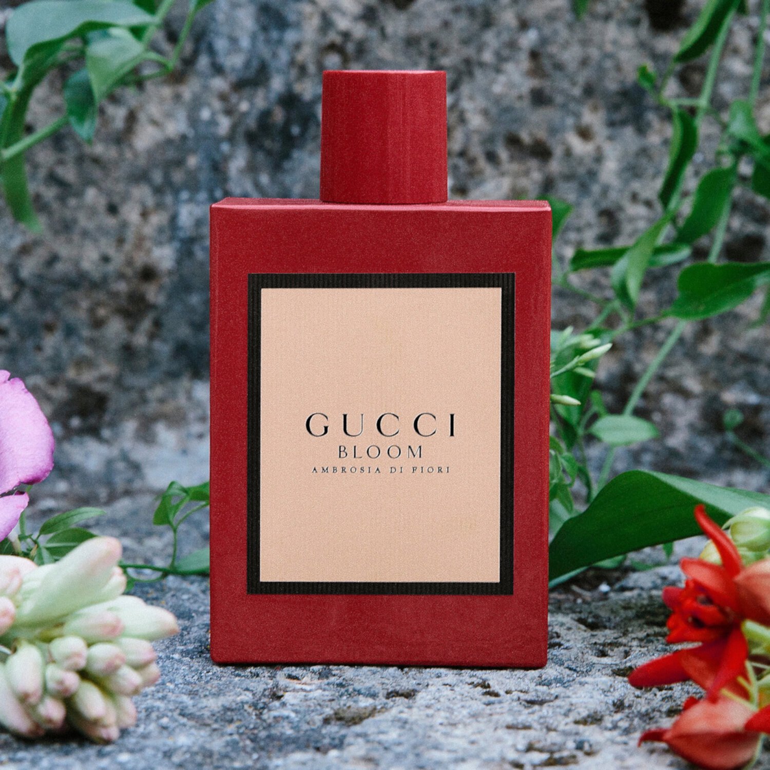 Gucci Bloom Ambrosia di Fiori Eau de Parfum Intense For Her GUCCI