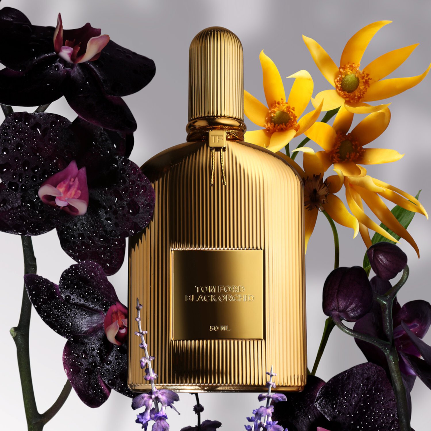 Black Orchid Parfum Fragrance Tom Ford