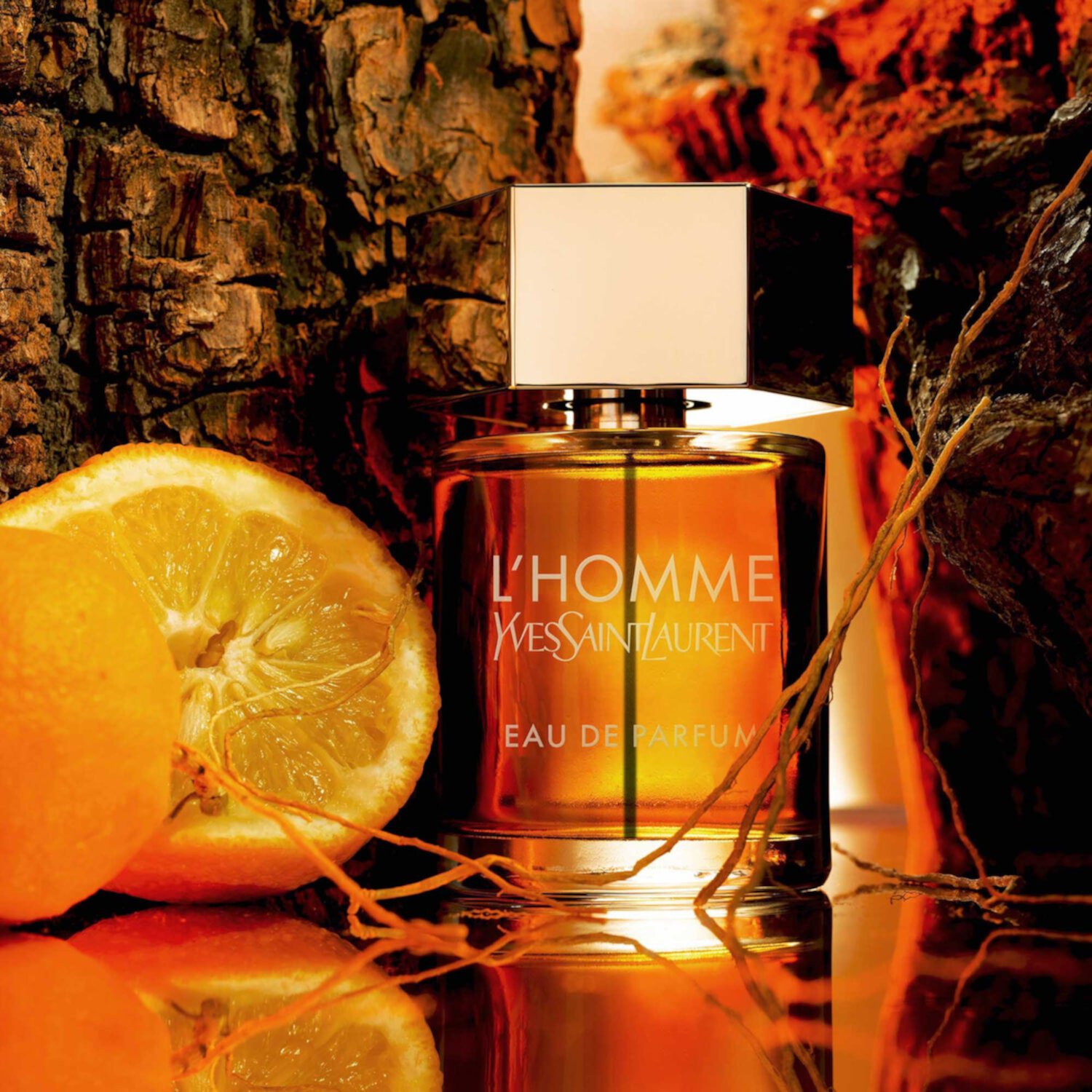 L'Homme Eau de Parfum Yves Saint Laurent