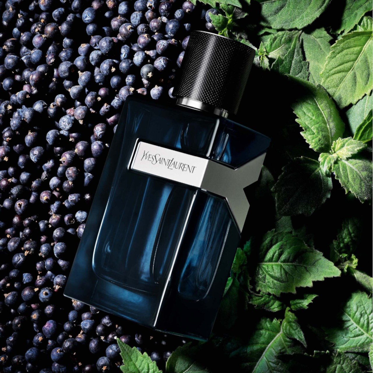 Y Eau de Parfum Intense Yves Saint Laurent