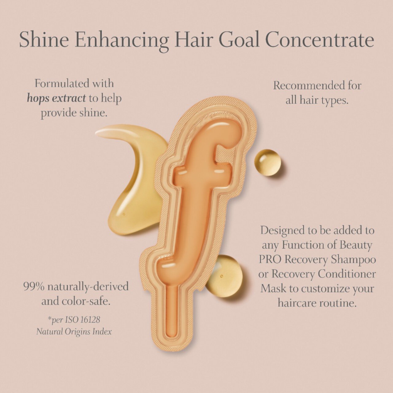 The Shine Queen Hair Gloss Goal Concentrate Mix-In Function of Beauty PRO