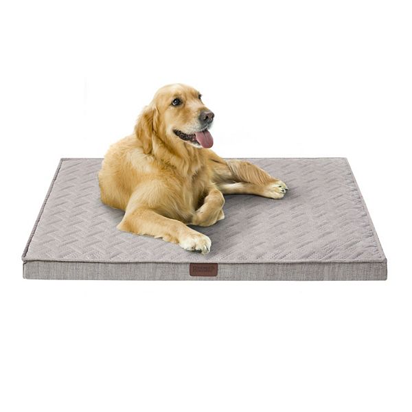 Friends Forever Orthopedic Dog Bed Friends Forever