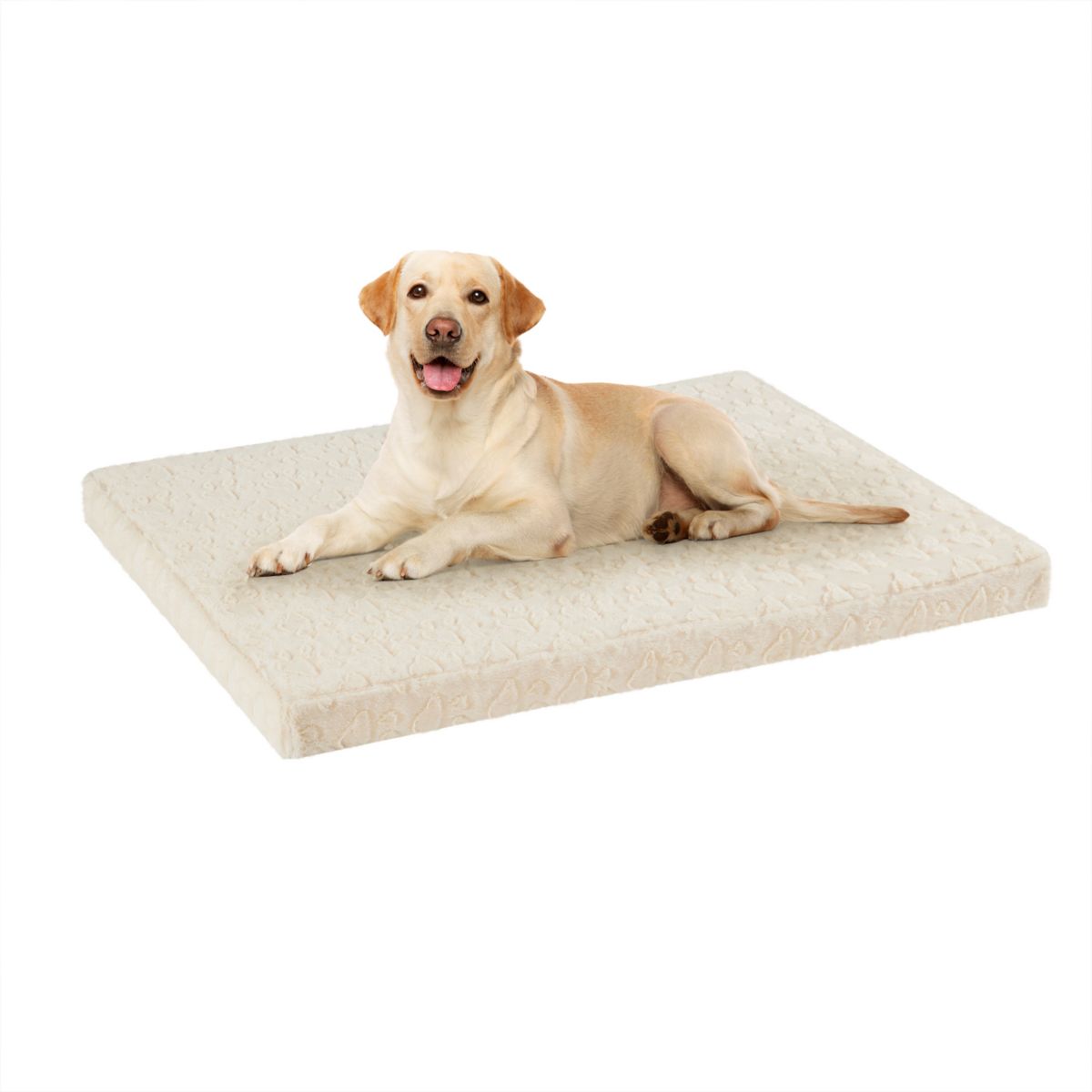 Friends Forever Orthopedic Dog Bed with Foam Friends Forever