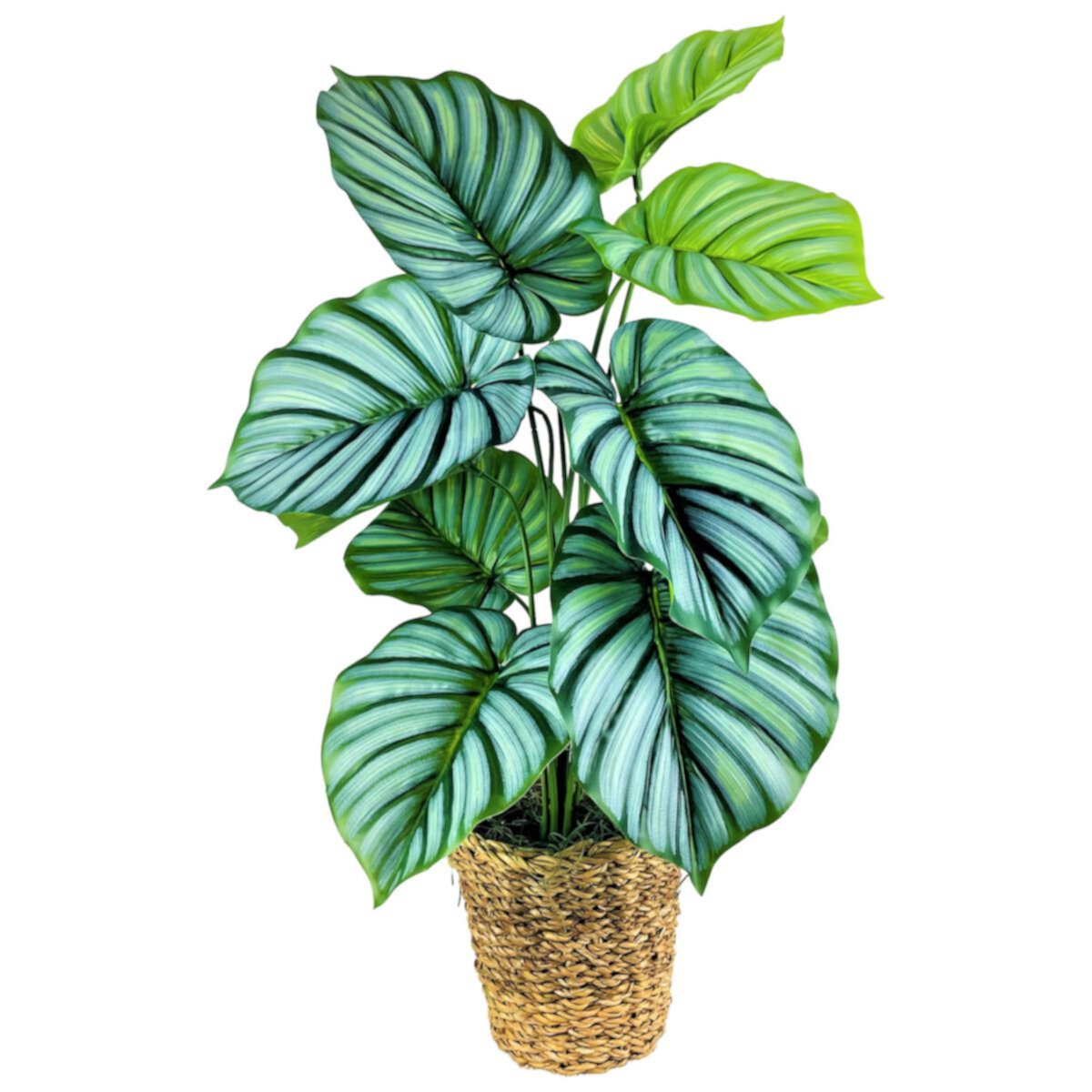 30&#34; Faux Prayer Plant in Rope Basket Unbranded
