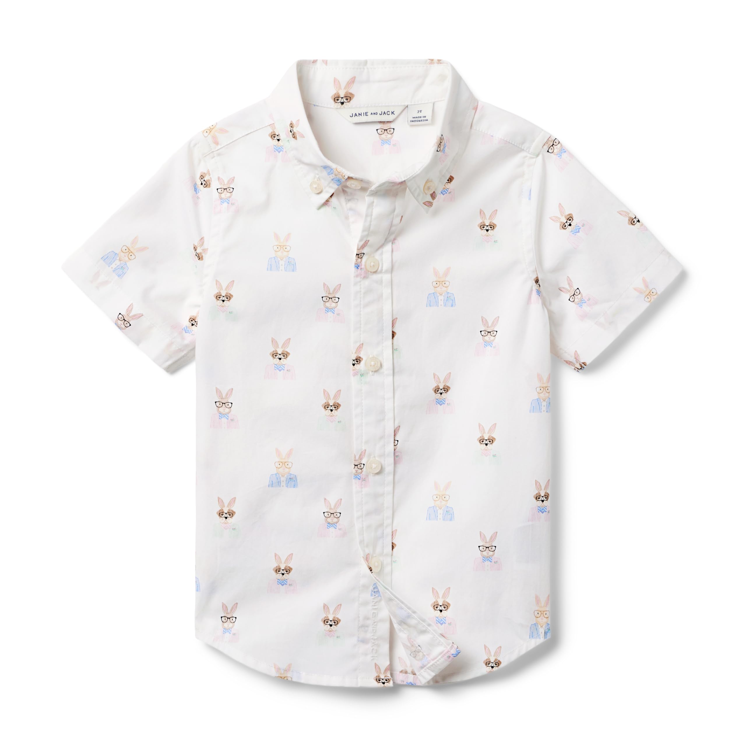 Рубашка на пуговицах с принтом кролика (для малышей/маленьких детей/больших детей) Janie and Jack