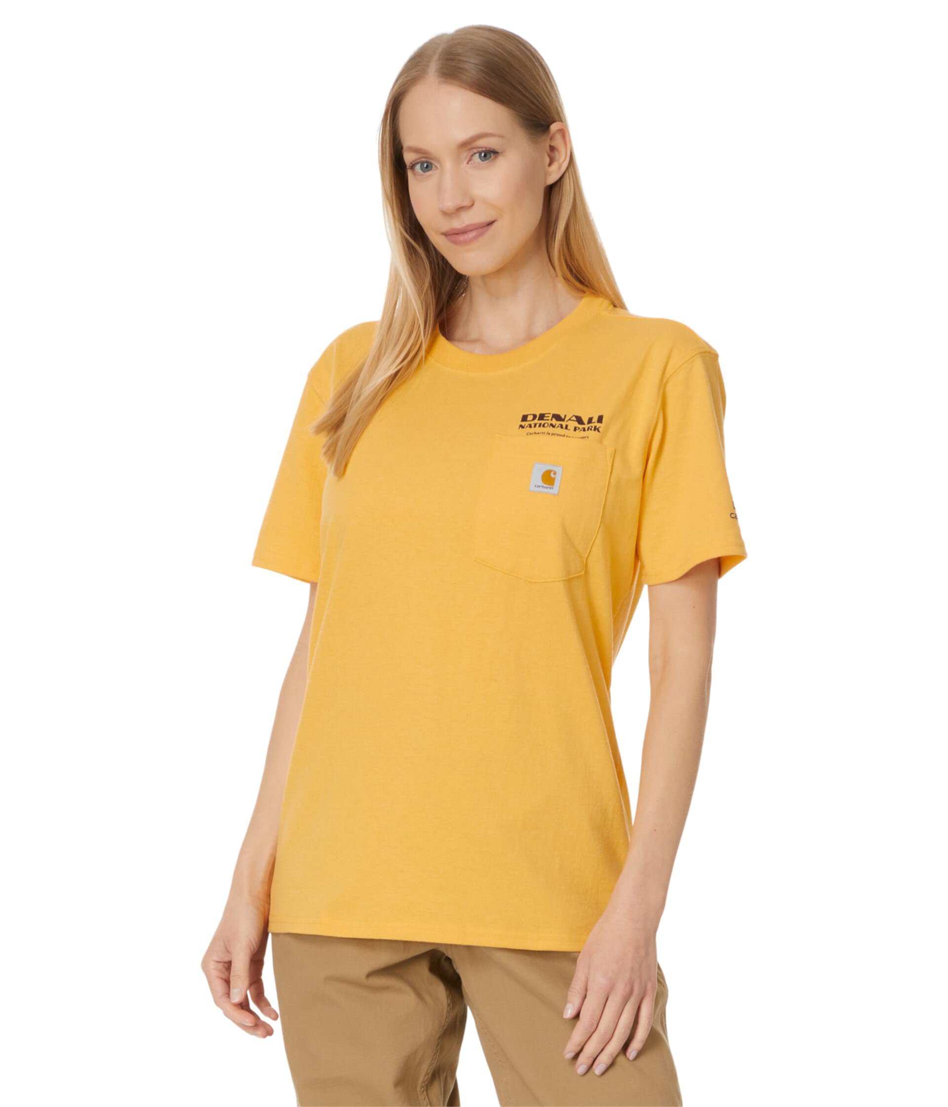 Свободная футболка тяжелого кроя с короткими рукавами и графикой национального парка Денали Carhartt