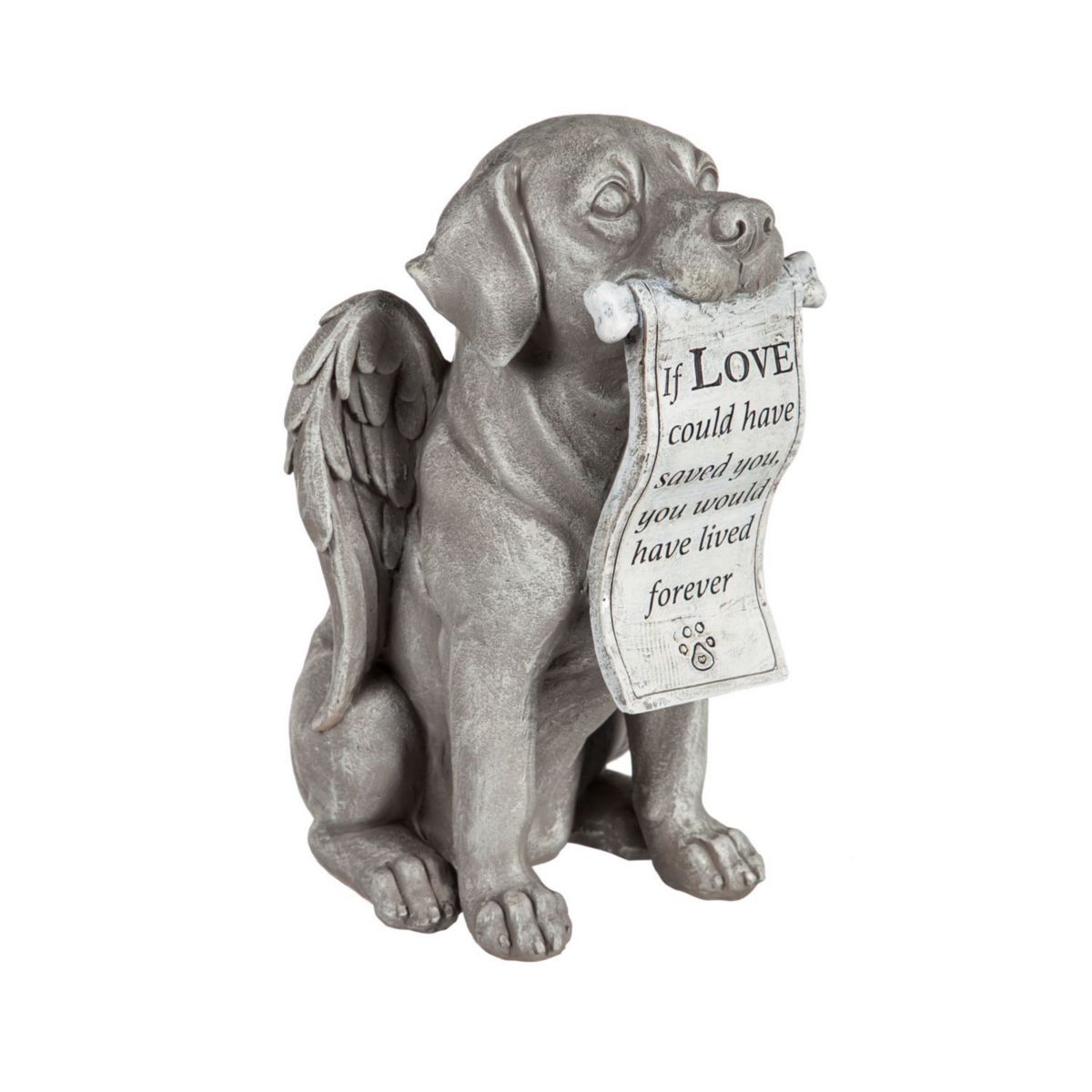 Evergreen Enterprises 14-in. Angel Dog with Scroll Memorial Garden Statue EVERGREEN ENTERPRISES