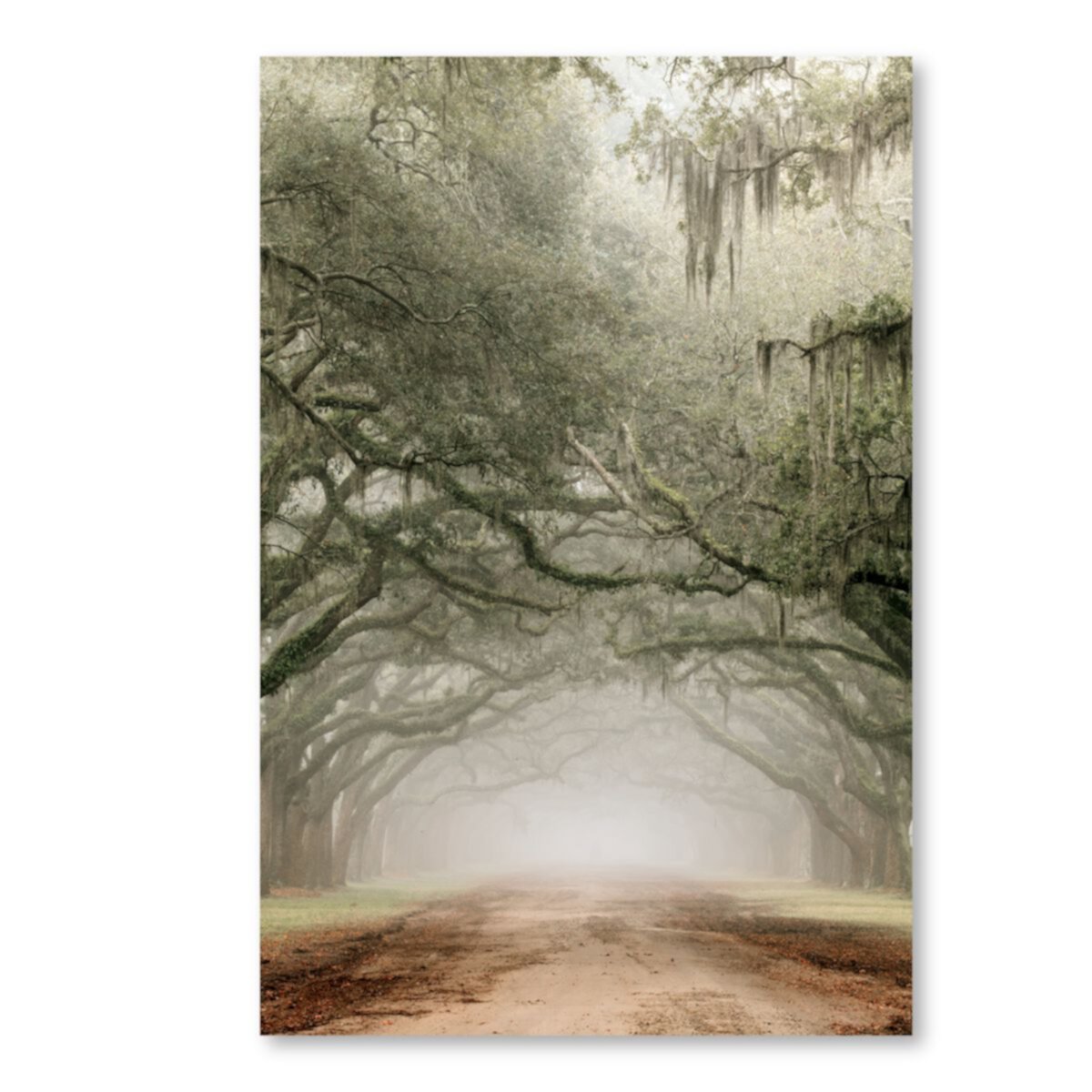 COURTSIDE MARKET The Drive Canvas Wall Art Courtside Market