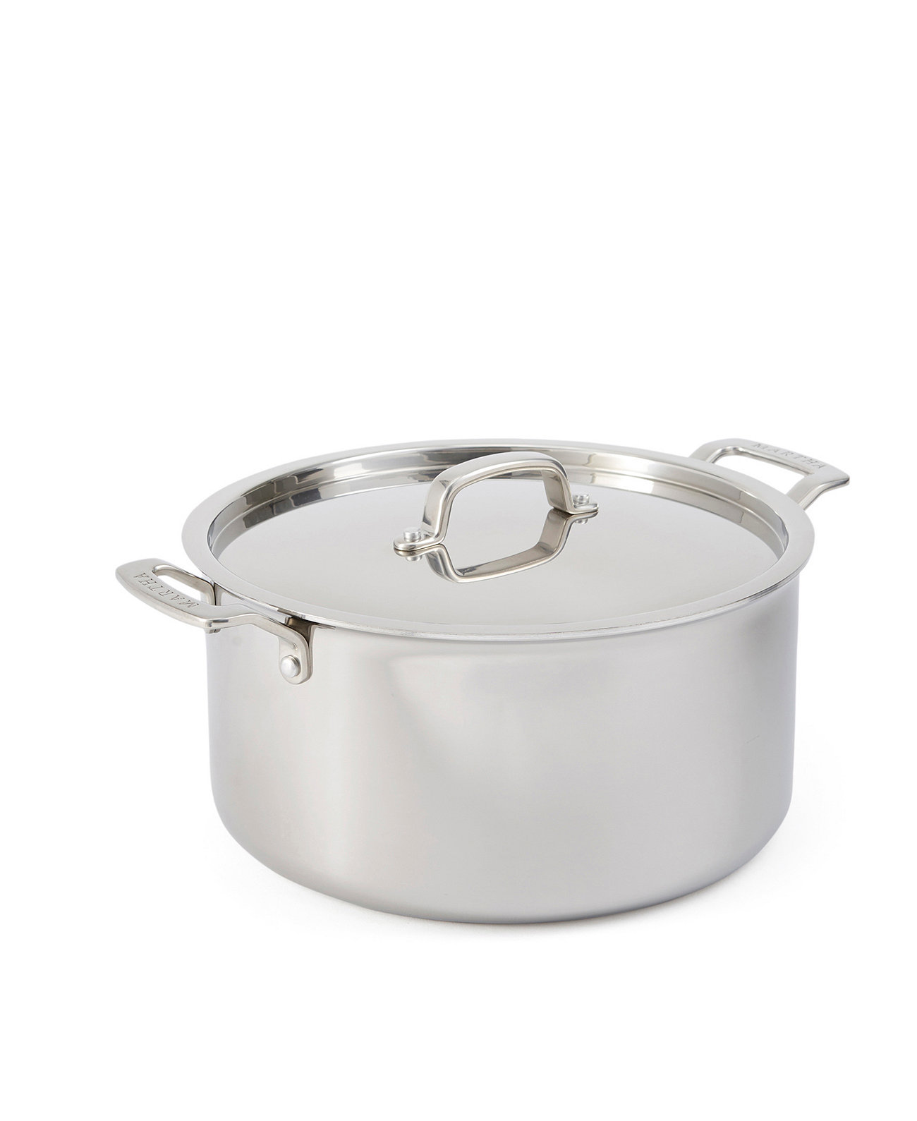 Stainless Steel 8 QT Stock Pot with Lid Martha Stewart