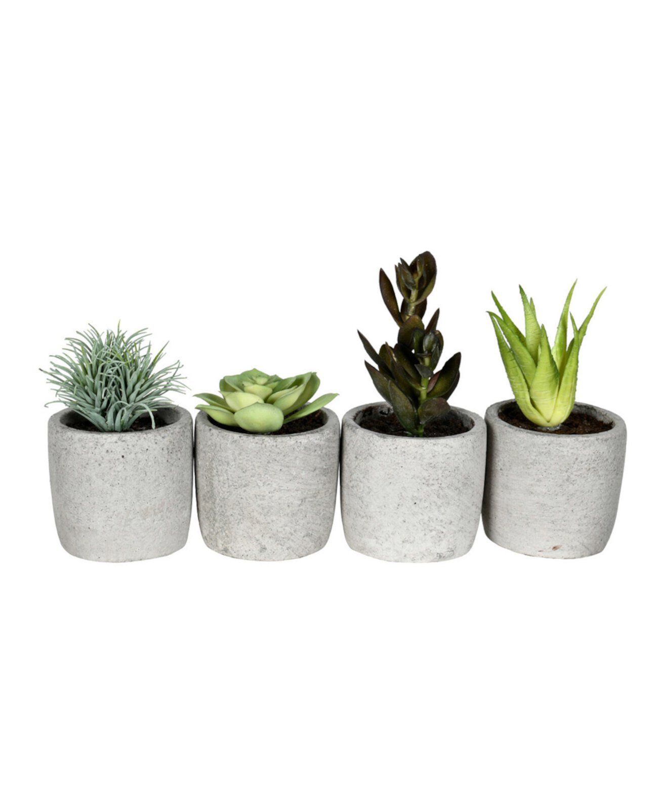 6" Artificial Assorted Potted Succulents, Set of 4. Vickerman