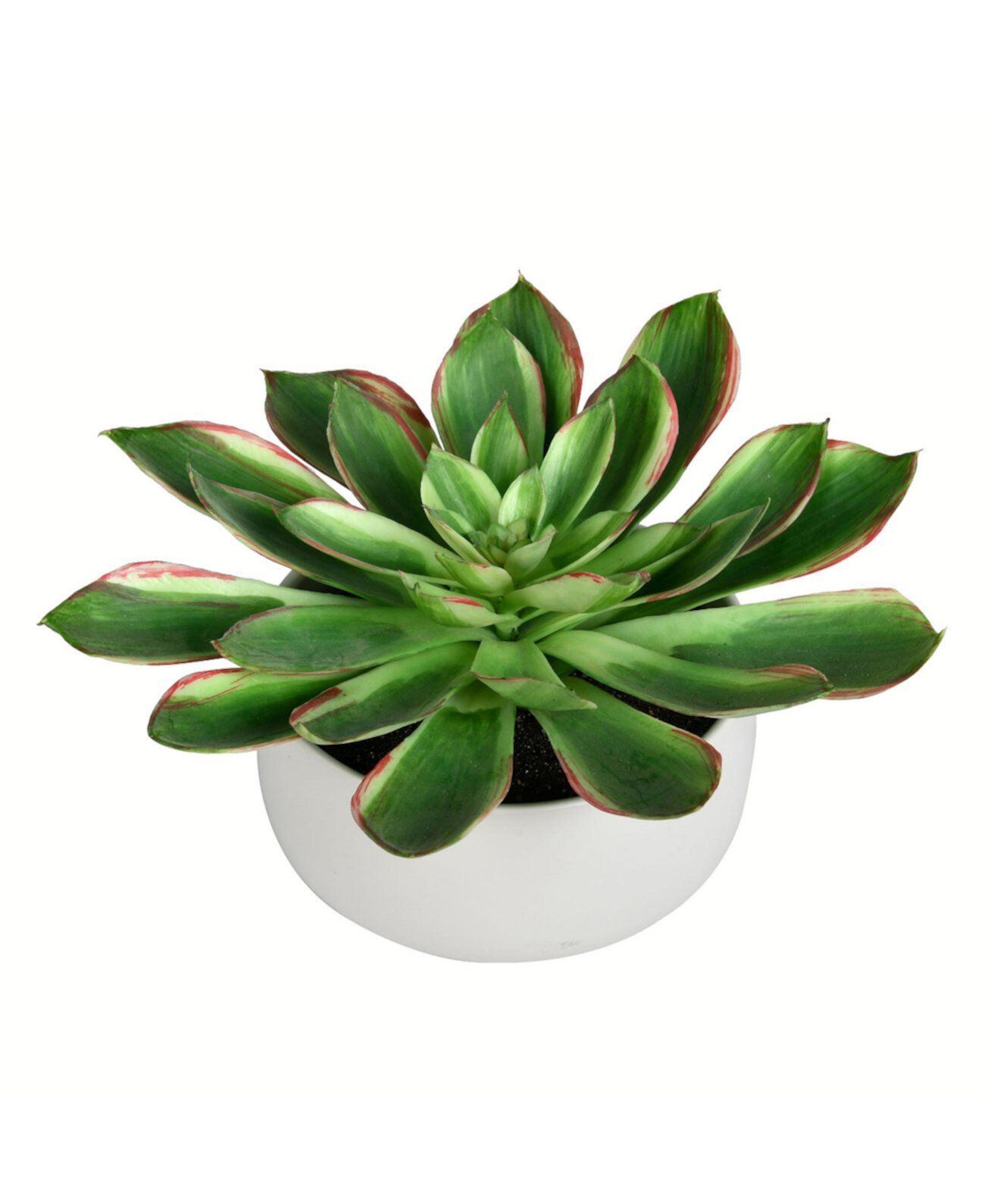 10" Artificial Potted Green Succulent. Vickerman