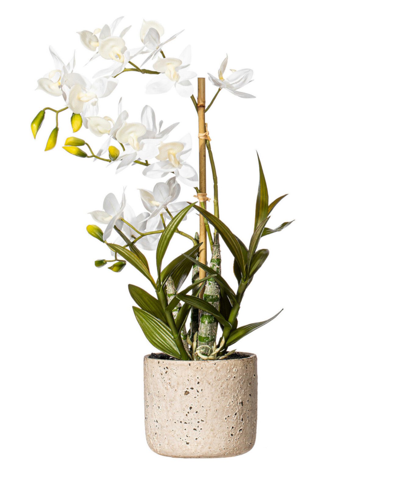 19" Artificial White Deluxe Potted Cycnoches Orchid. Vickerman