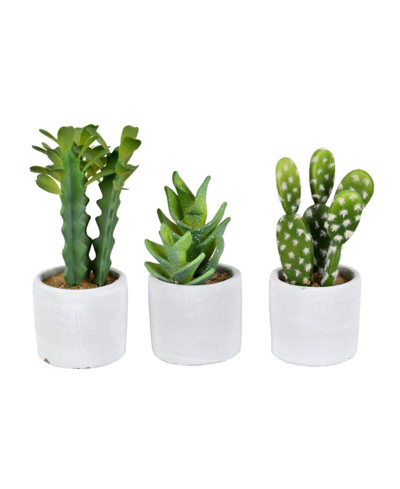 Set of 3 Assorted 7" Potted Artificial Cactus Plants, Set of 3 Vickerman