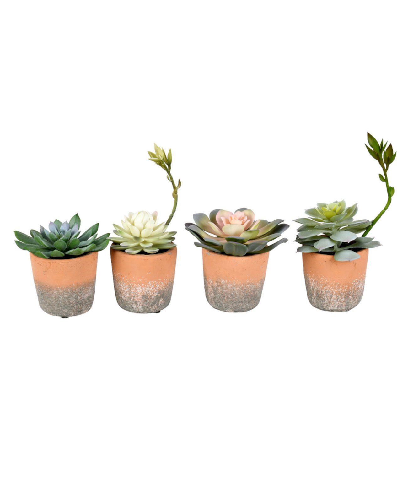 Set of 4 Assorted 7" Artificial Potted Succulents, Set of 4 Vickerman