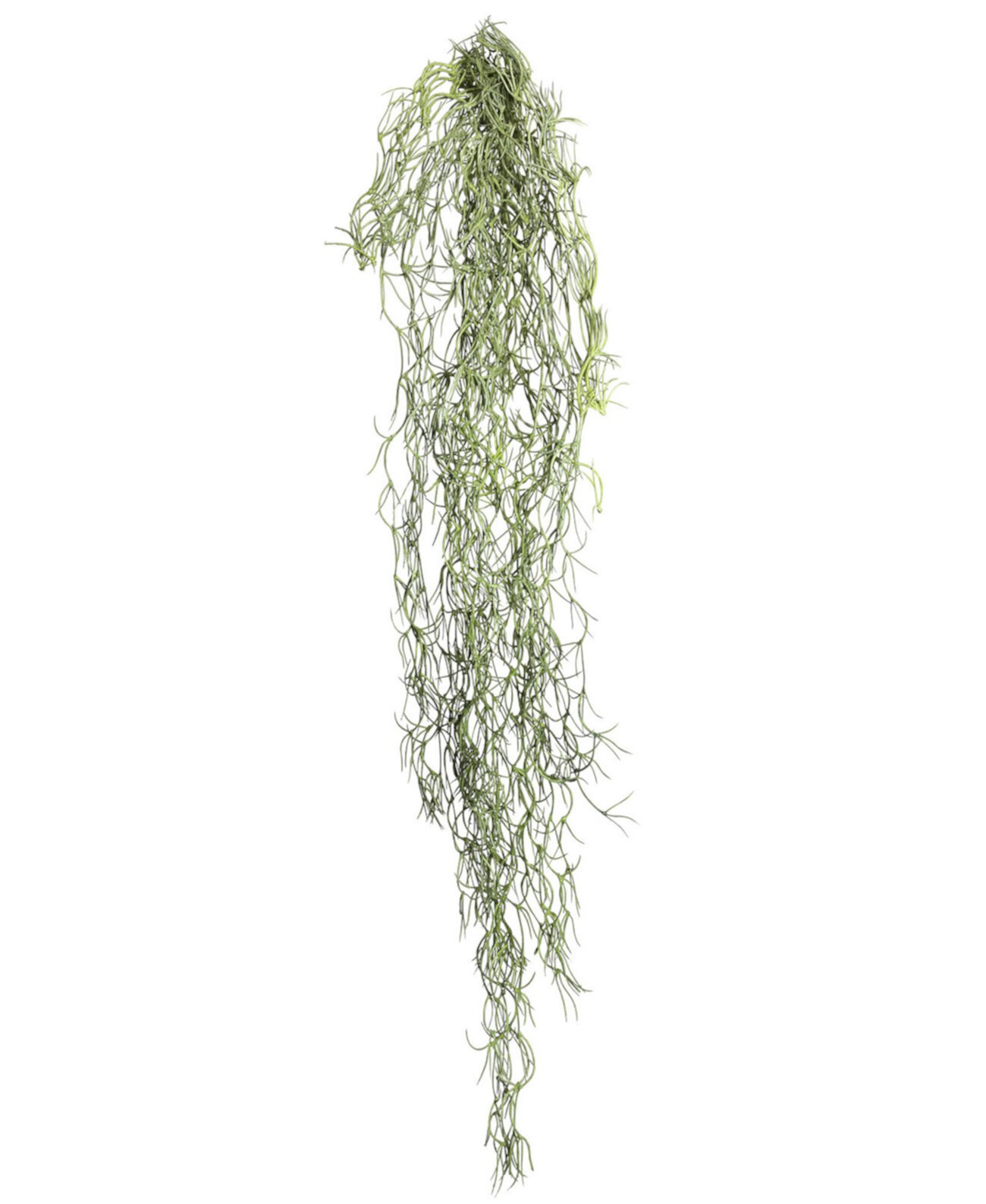 29.5" Artificial Green Tillandsia Root, Set of 3 Vickerman