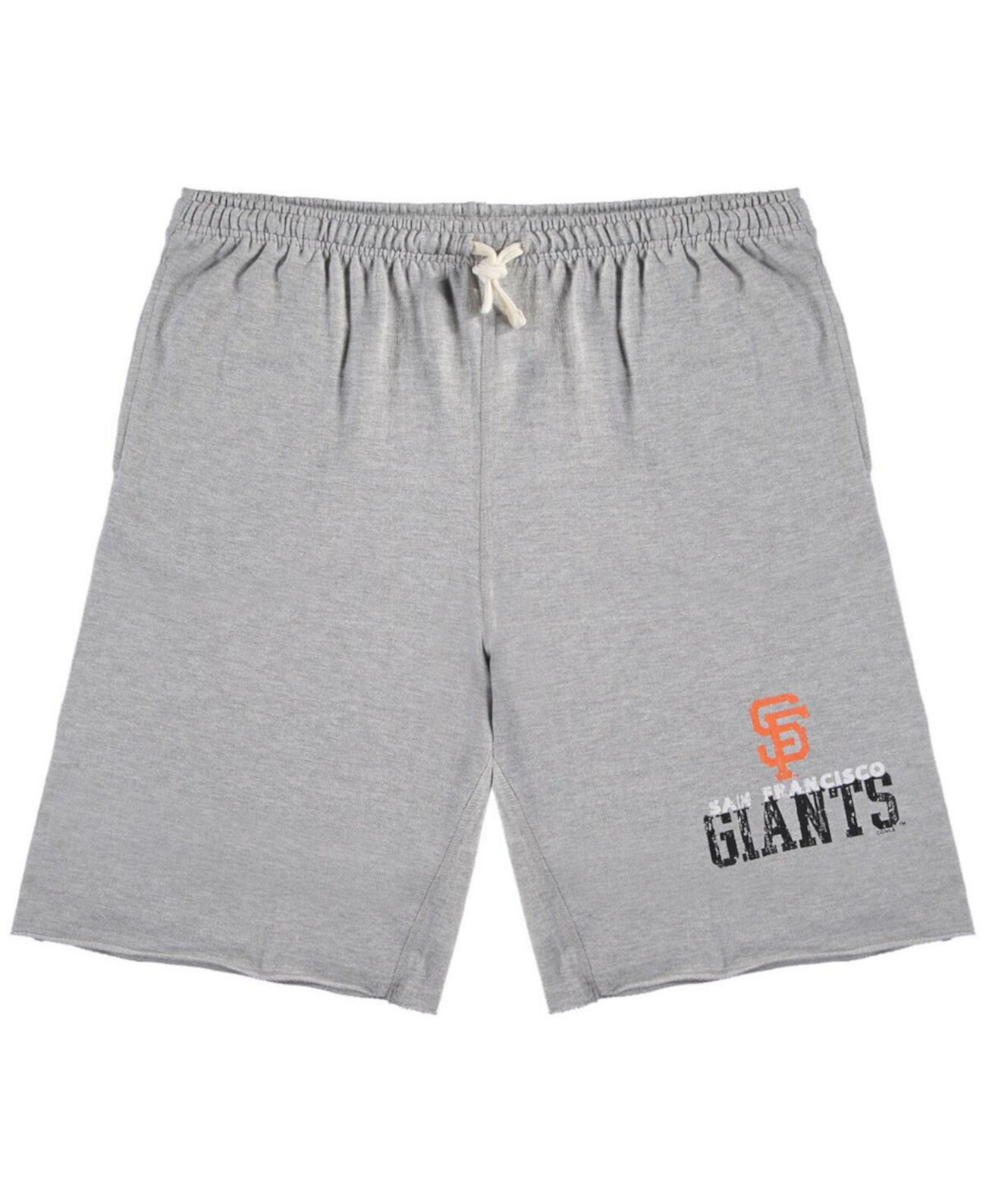 Men's Heathered Gray Distressed San Francisco Giants Big and Tall French Terry Shorts Profile