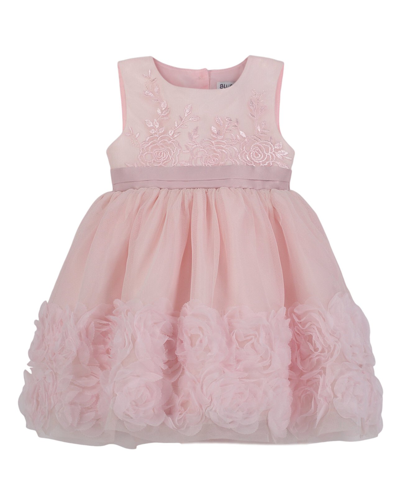 Baby Girls Fit-and-Flare Embroidered Dress with Rosettes Blueberi Boulevard