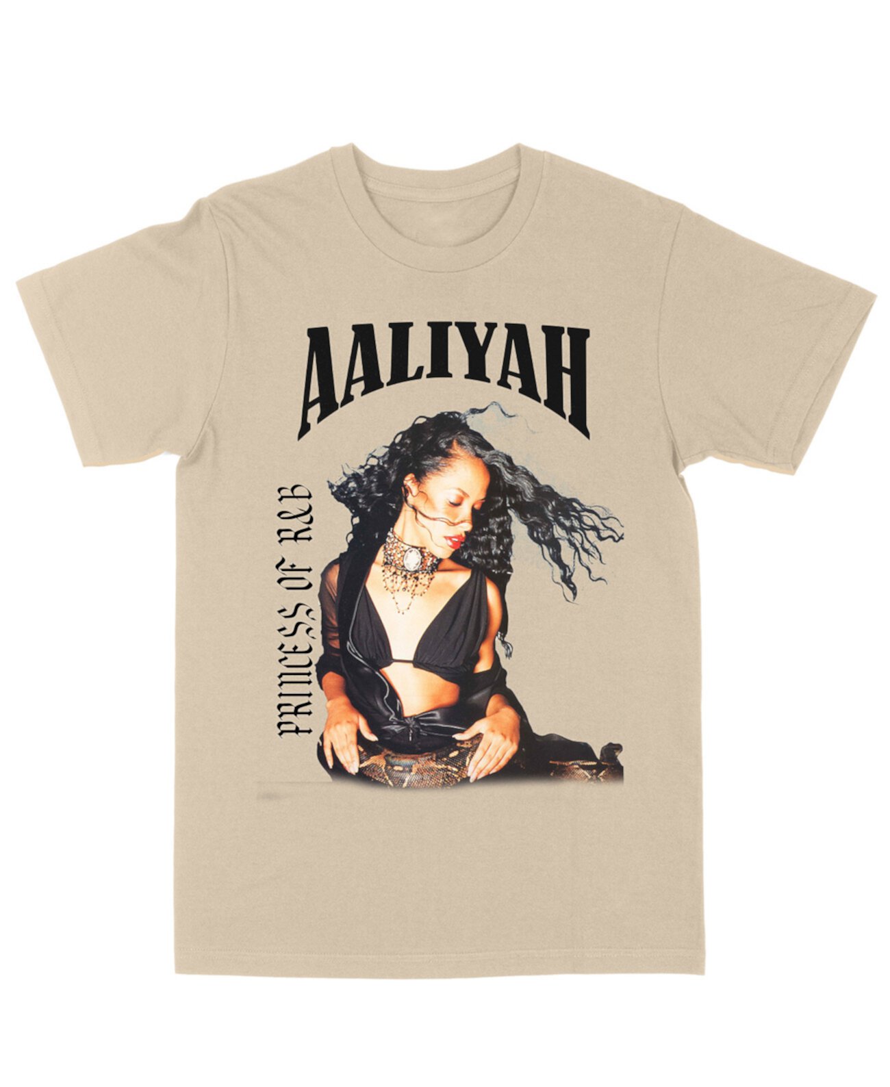 Men's Aaliyah Snake Black Princess of R&B T-shirt Philcos