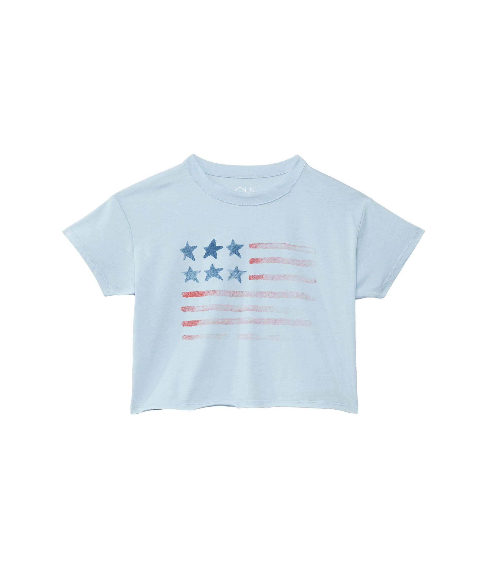 Flag Tee (Little Kids/Big Kids) Chaser