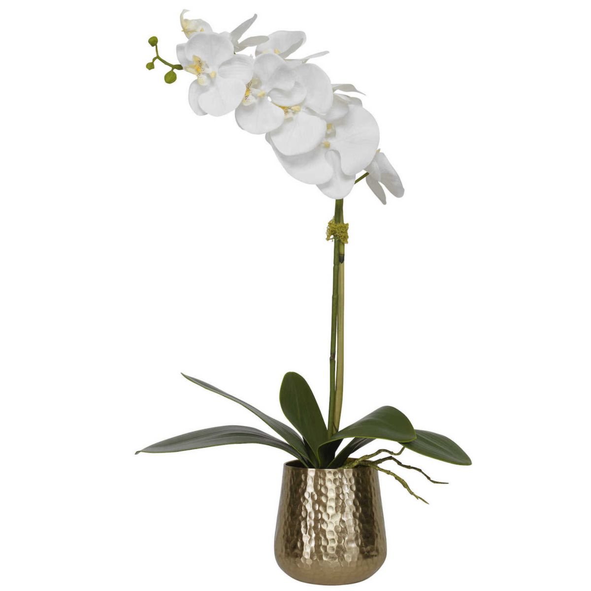 Uttermost Cami Artificial Orchid Table Decor Uttermost