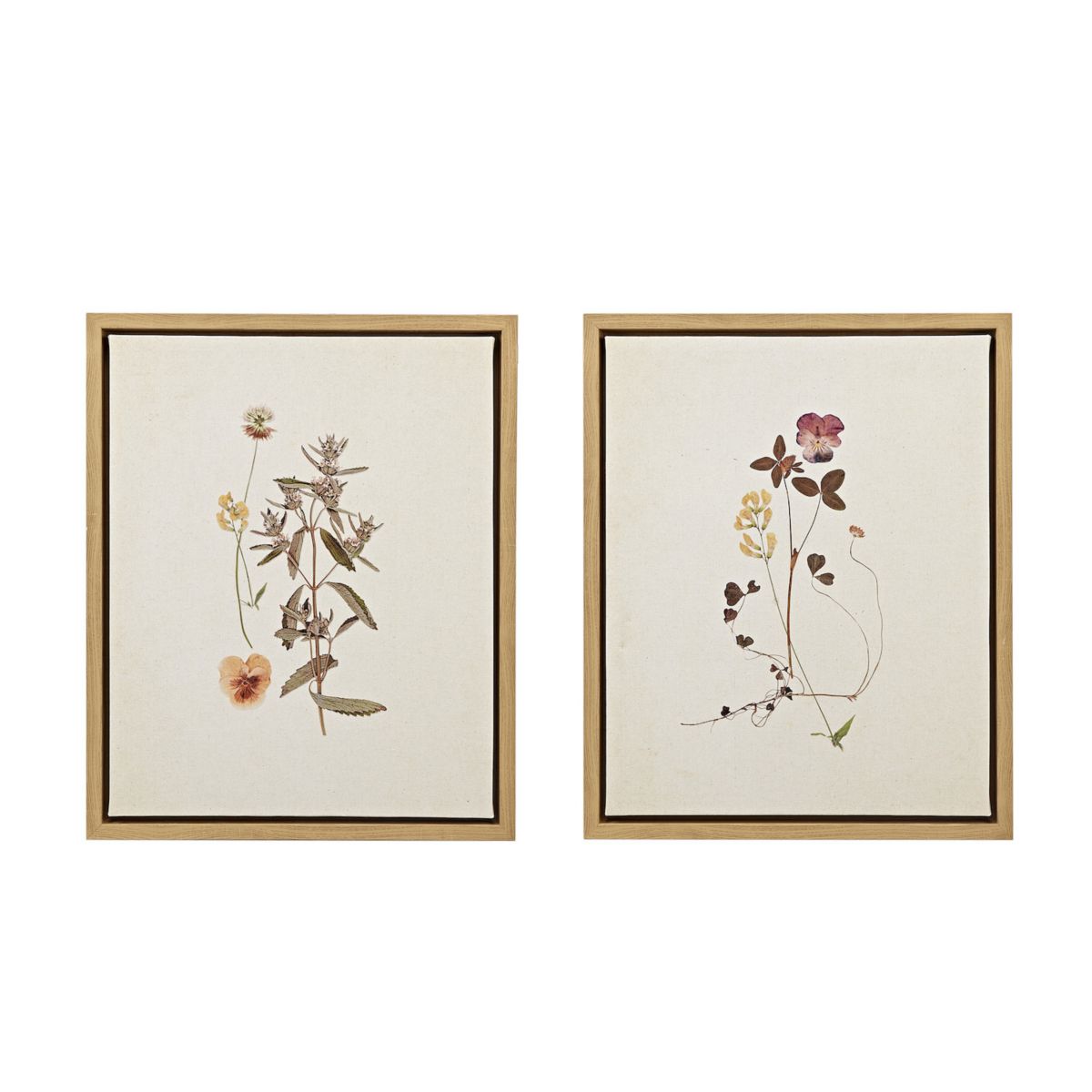 Martha Stewart French Herbarium Framed Canvas Wall Art 2-piece Set Martha Stewart