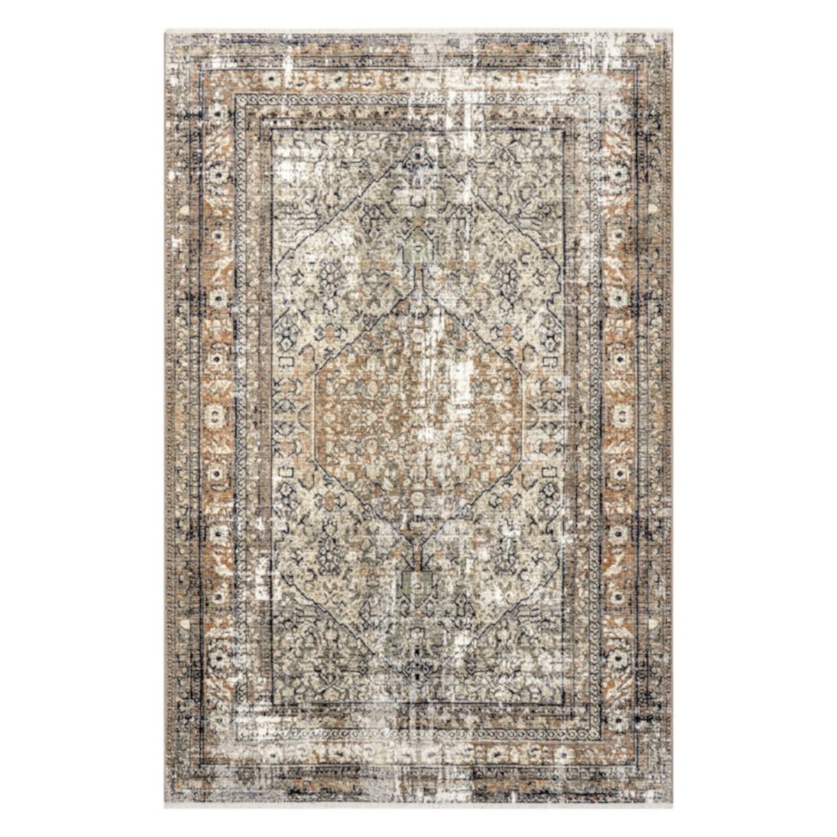 nuLOOM Charvi Distressed Medallion Area Rug NuLOOM