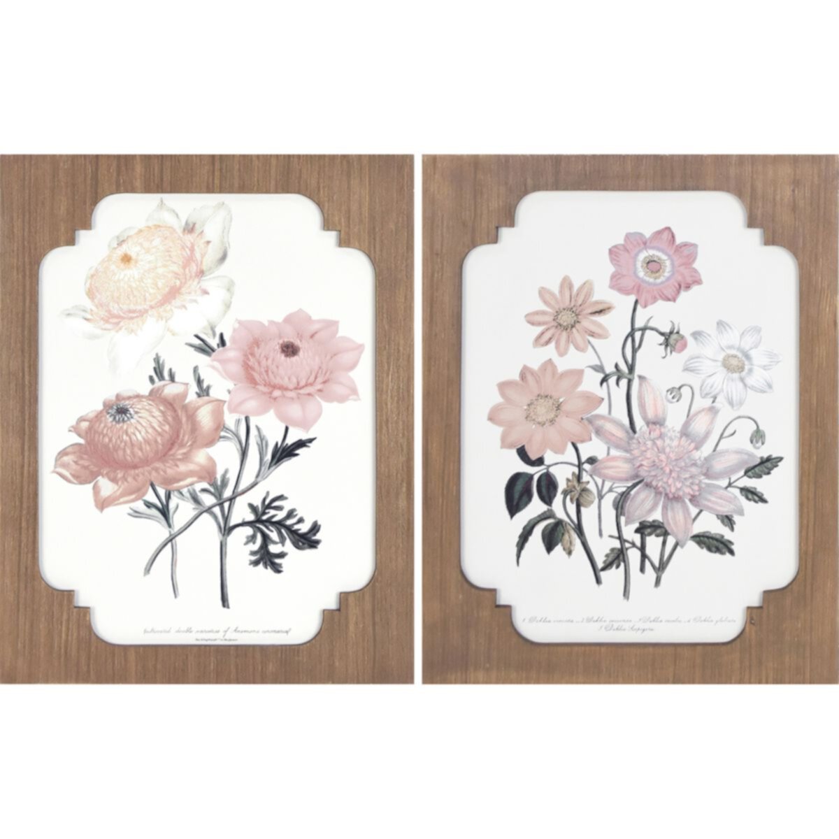 Framed Floral Box Top Wall Art 2-piece Set Unbranded