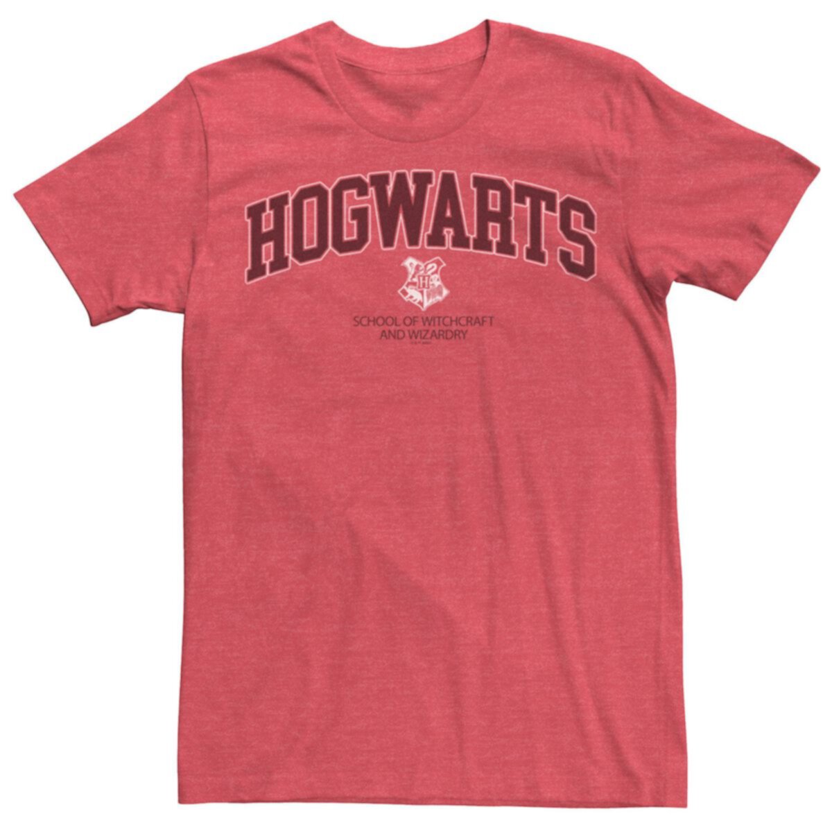 Men's Harry Potter Hogwarts Varsity Style Graphic Tee Harry Potter