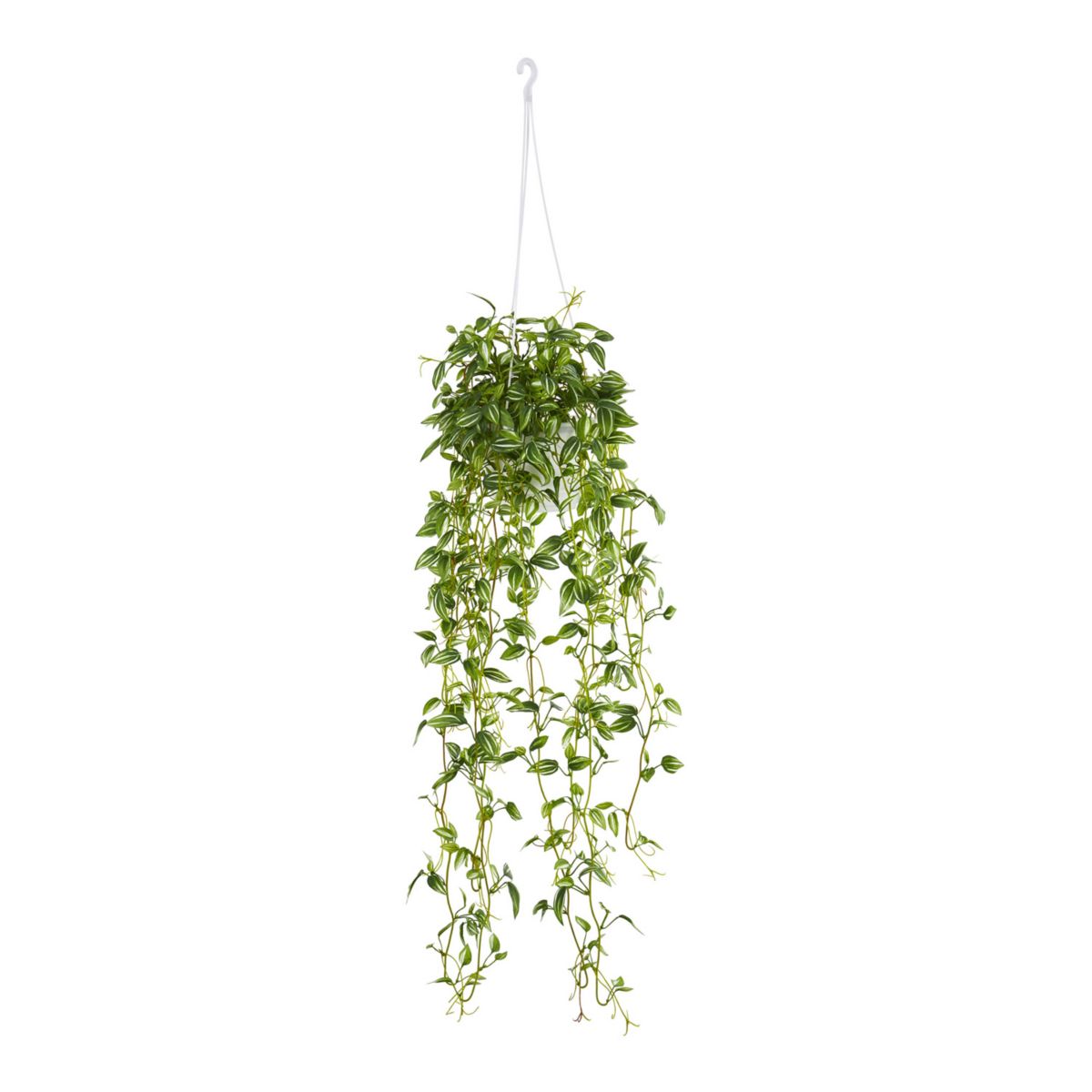 nearly natural Green Variegated Wandering Jew Hanging Basket Artificial Plant NEARLY NATURAL