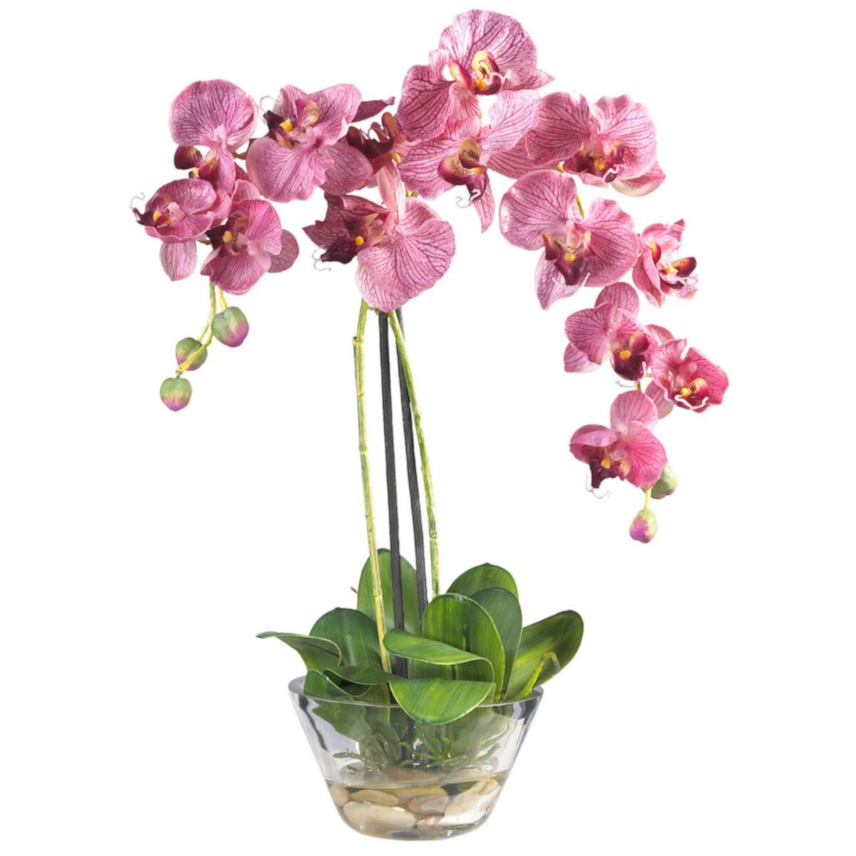 nearly natural Phalaenopsis with Glass Vase Silk Flower Arrangement NEARLY NATURAL