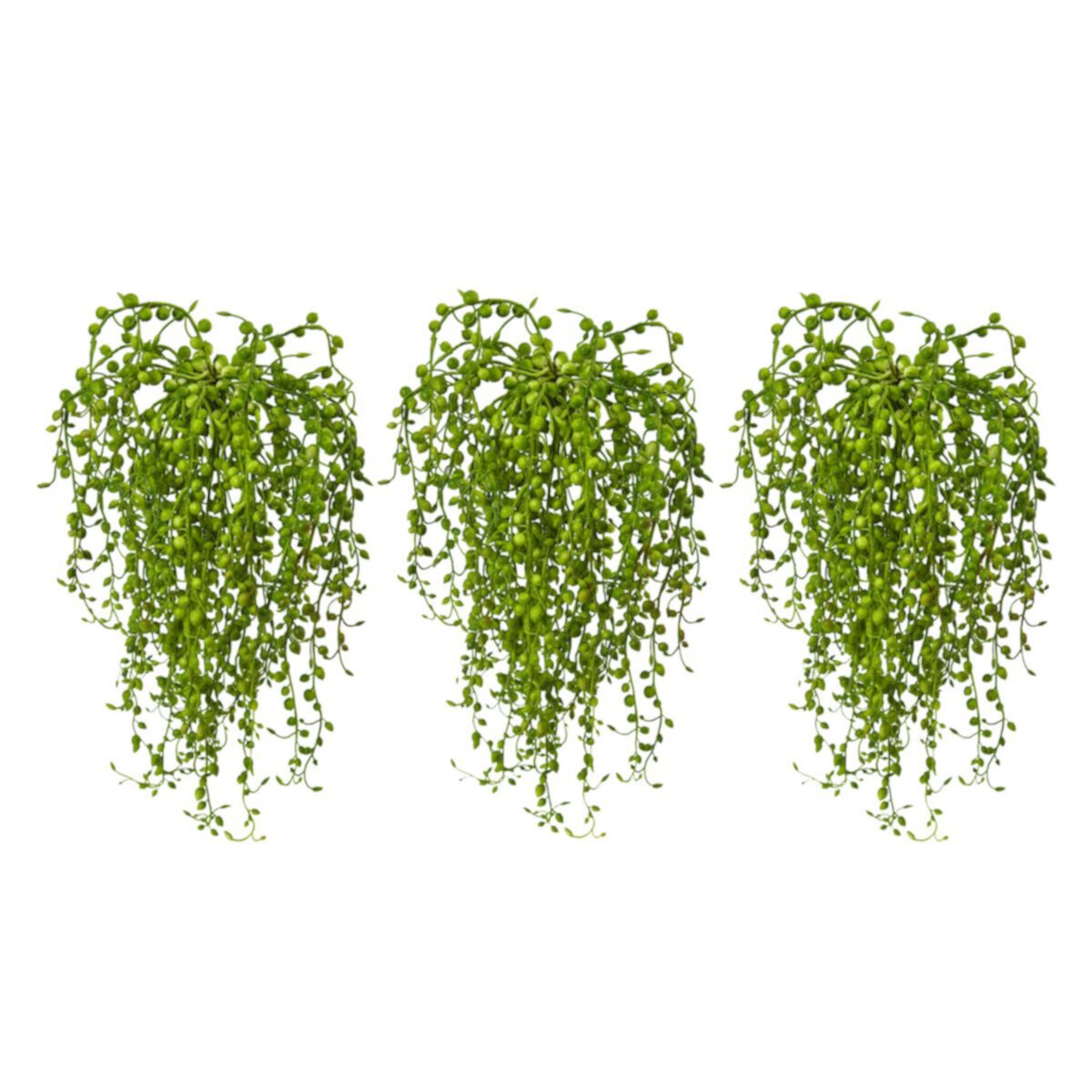 nearly natural 3-pc. Senecio Artificial Succulent Plant Set NEARLY NATURAL