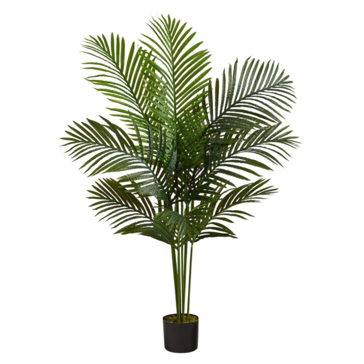 nearly natural 4-ft. Paradise Palm Artificial Tree NEARLY NATURAL