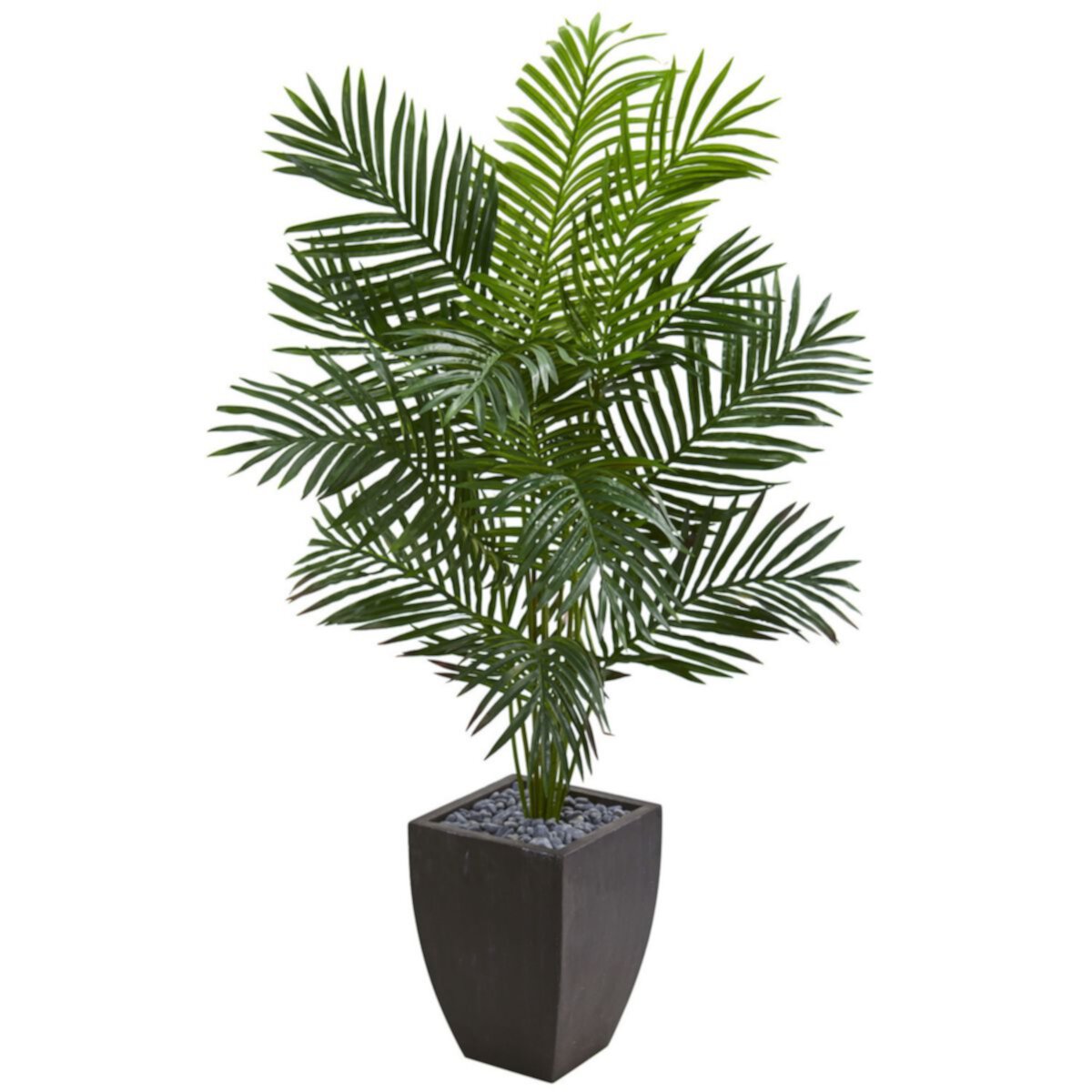 nearly natural 5.5-ft. Paradise Artificial Palm Tree in Black Planter NEARLY NATURAL