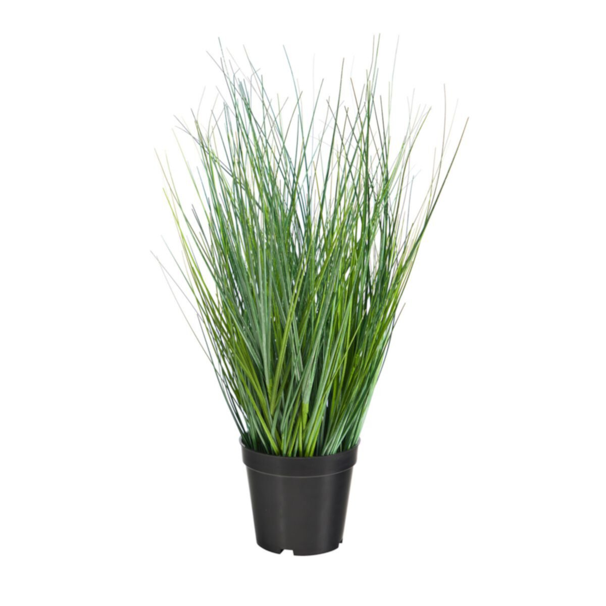 nearly natural 21-in. Onion Grass Artificial Plant NEARLY NATURAL