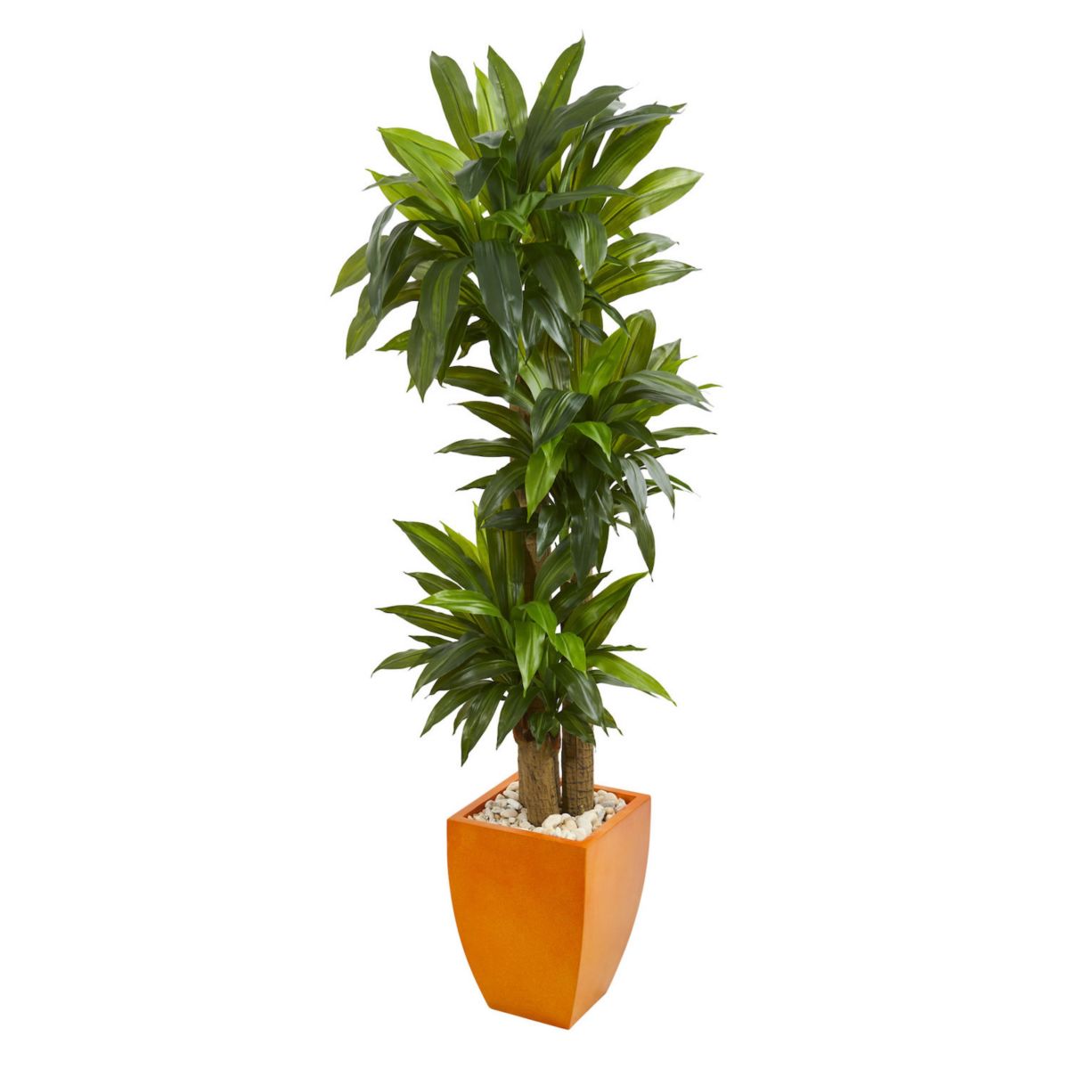 nearly natural 5.5-ft. Real Touch Dracaena Plant in Orange Square Planter NEARLY NATURAL
