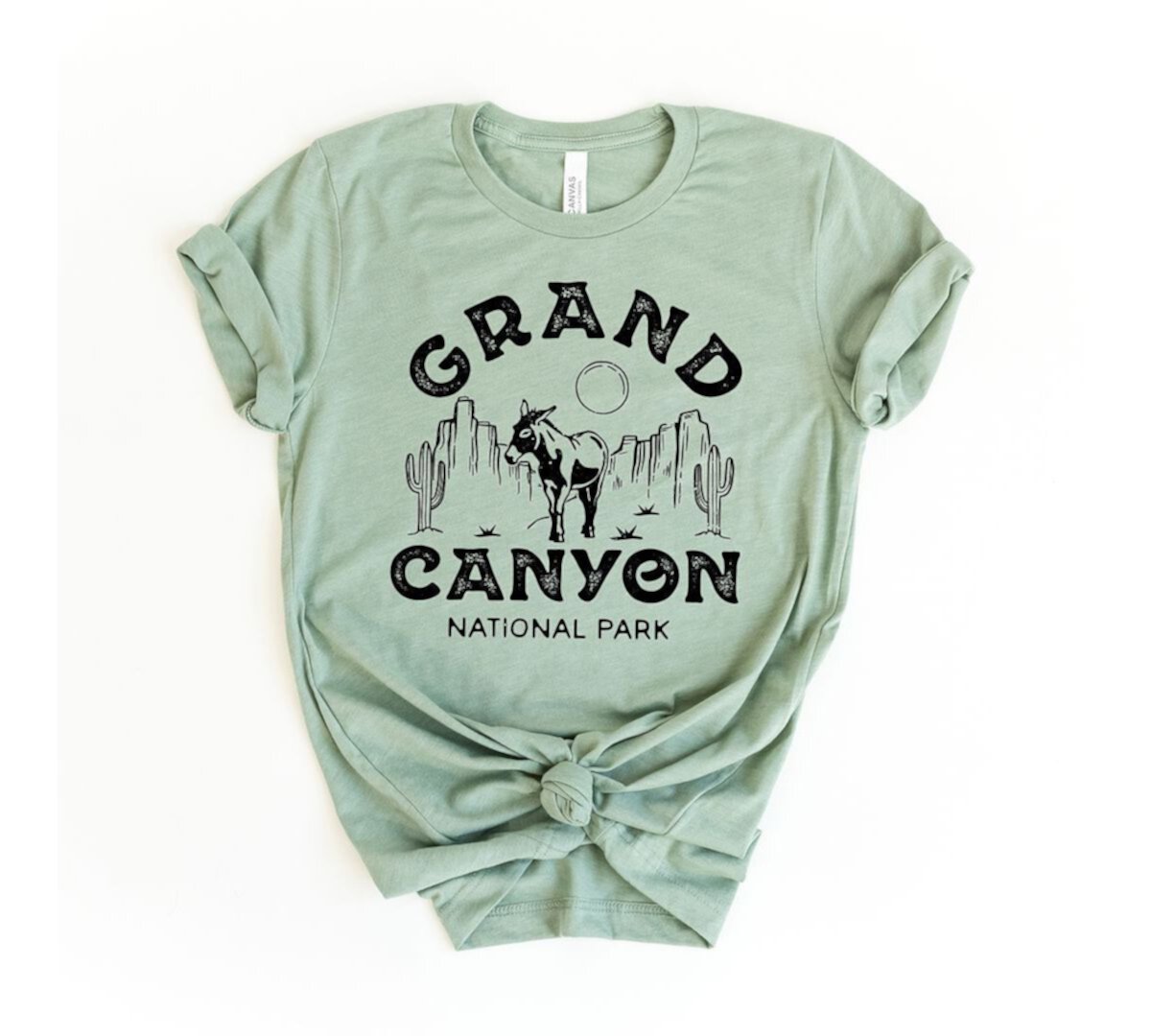 Vintage Grand Canyon National Park Short Sleeve Graphic Tee Simply Sage Market