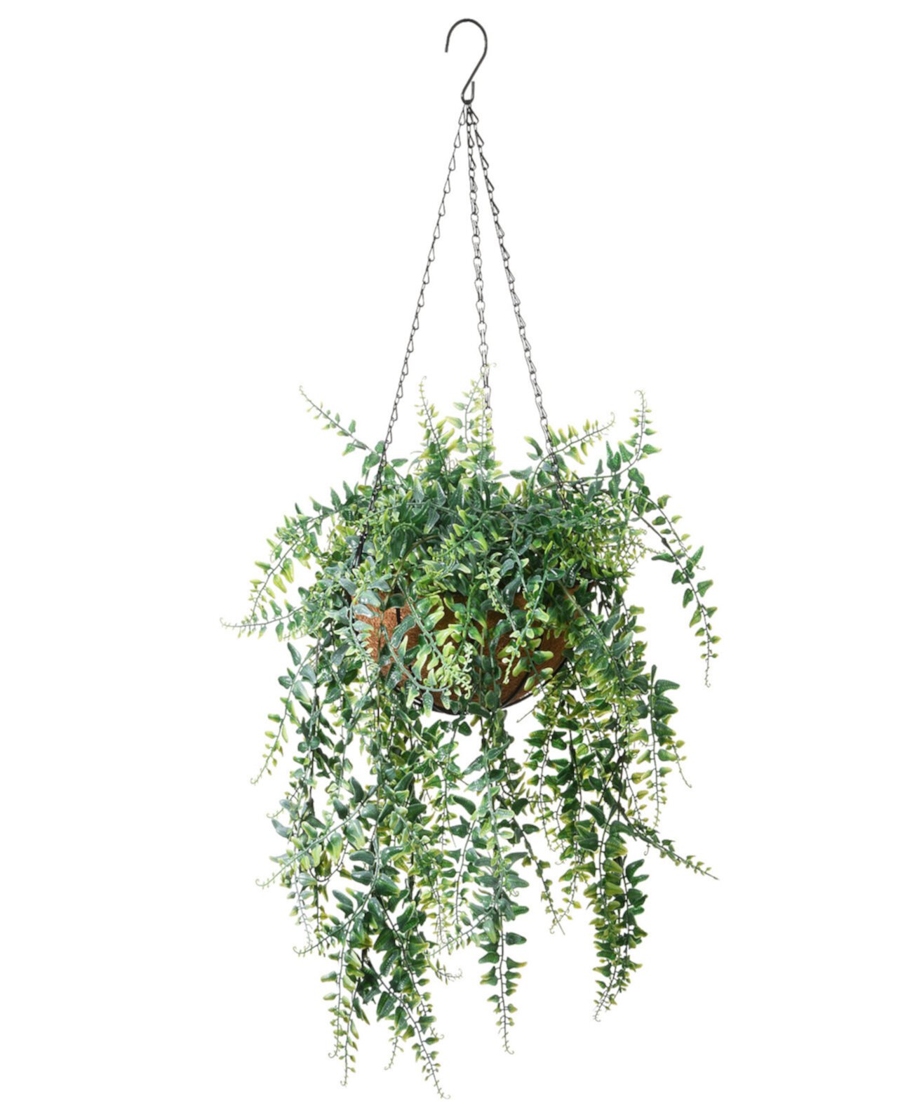 21 Fern Leaves Hanging Basket National Tree Company