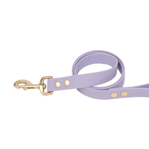 SportPet Solid Color Basic Dog Leash SportPet