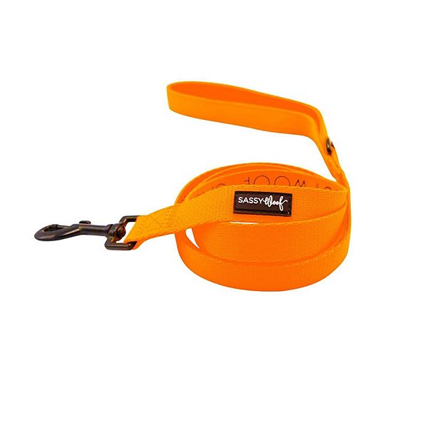 Dog Leash - Neon Orange Sassy Woof