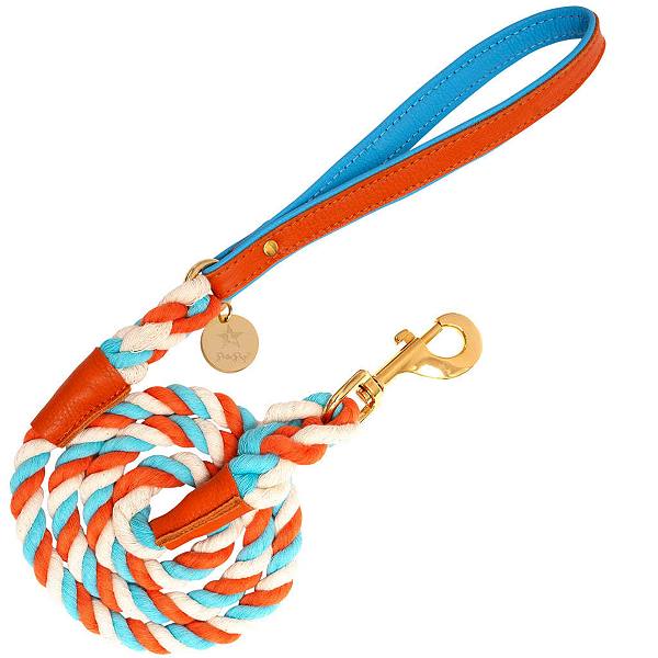 Pet Dog 5ft Long Leash PoisePup