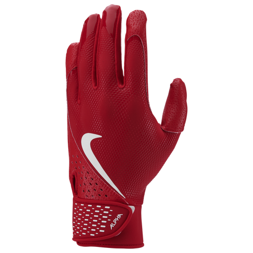 Спортивные перчатки Nike Alpha Batting Gloves Nike