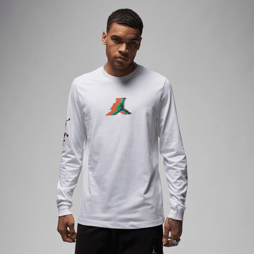 Мужская Футболка Jordan L/S Crew Jordan