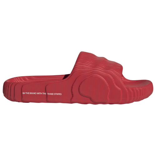 Мужские Шлепанцы и вьетнамки adidas Originals Adilette 22 Adidas Originals